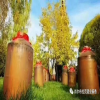 酱香型白酒为何用土陶坛存放